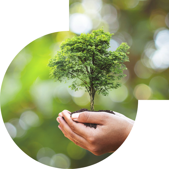 关怀人类、文化、环境与社会